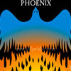 phoenix bird